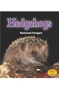 Night Safari Hedgehogs Nocturnal Foragers