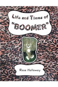 Life and Times of 