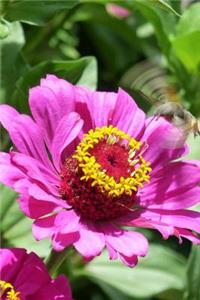 Pink and Yellow Flower Journal