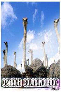 Ostrich