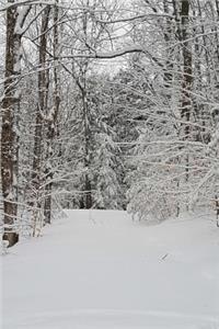 Journal Winter Weather Woodland Path