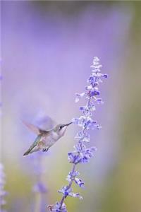 My Most Favourite Day