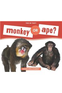 Monkey or Ape?