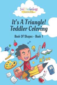 Its a Triangle! Toddler Coloring Book of Shapes - Book 1