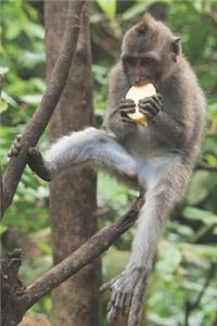 Affe