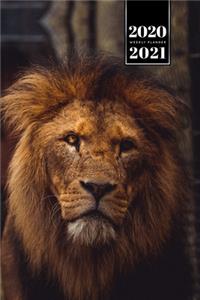 Lion Week Planner Weekly Organizer Calendar 2020 / 2021 - Evil Eyes