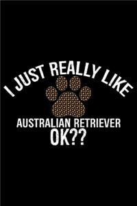 I Just Really Like Australian Retriever Ok?