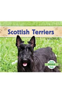 Scottish Terriers