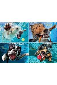 Underwater Dogs: Pool Pawty 1000-Piece Puzzle