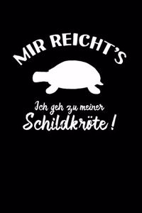 Schildkröte