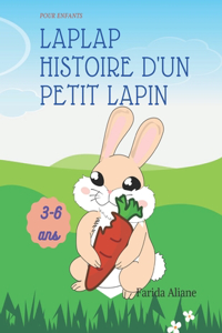 Laplap L'histoire d'un petit lapin