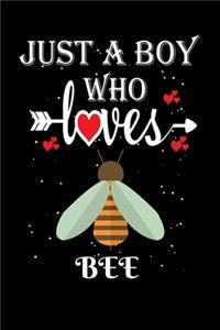 Just a Boy Who Loves Bee