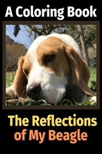 Reflections of My Beagle