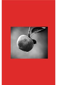 The Silence of the Victims & Perpetrators