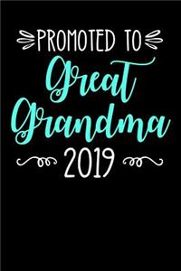 Promoted to Great Grandma 2019