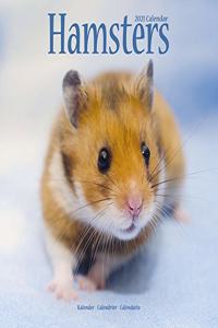 Hamsters 2021 Wall Calendar