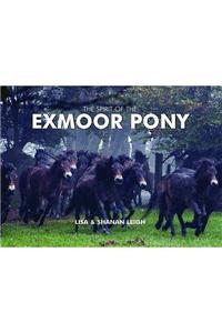 Spirit of the Exmoor Pony