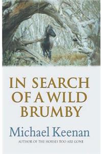 In Search of a Wild Brumby