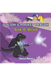 Coltons Pocket Dragon Book 10