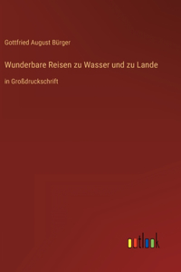 Wunderbare Reisen zu Wasser und zu Lande