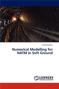 Numerical Modelling for Natm in Soft Ground