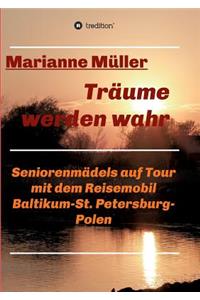 Träume werden wahr, Band 2