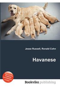 Havanese