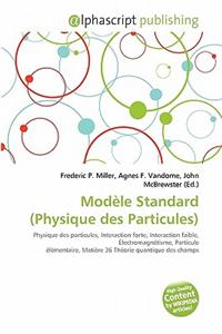 Modle Standard (Physique Des Particules)