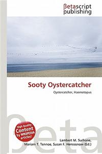 Sooty Oystercatcher