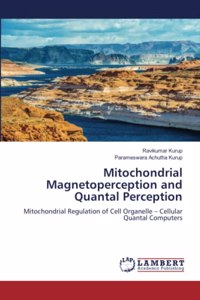 Mitochondrial Magnetoperception and Quantal Perception