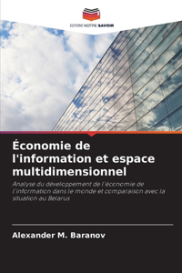 Économie de l'information et espace multidimensionnel