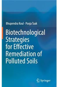 Biotechnological Strategies for Effective Remediation of Polluted Soils