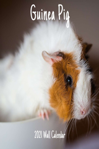Guinea Pig 2021 Wall Calendar