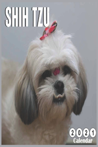 Shih Tzu 2021 Calendar