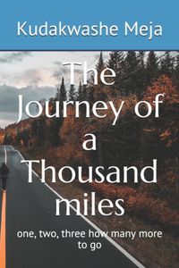 Journey of a Thousand miles: one, two, three how many more to go