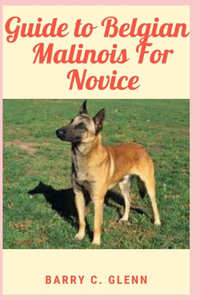 Guide to Belgian Malinois For Novice
