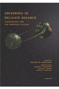 Universes in Delicate Balance