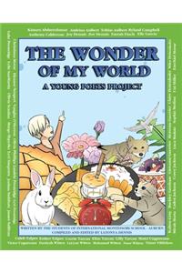Wonder of My World