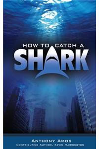 How to Catch a Shark