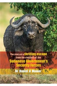 The story of a thrilling escape from the clutches of the