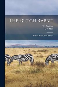 Dutch Rabbit; how to House, Feed & Breed