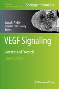 VEGF Signaling