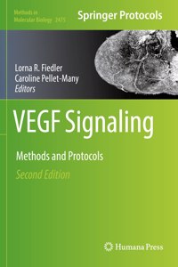 Vegf Signaling