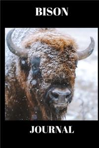 Bison Journal: Stunning picture of a Bison on a journal/Notebook/Diary to write in, draw in or doodle in. Will make a nice gift for farmers, animal lovers and kids