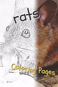 Rat Coloring Pages
