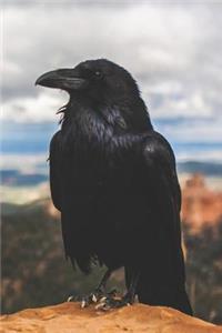 Call of the Crow Dot Grid Paper