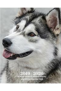 2019 - 2020 18 Month Weekly & Monthly Planner July 2019 to December 2020