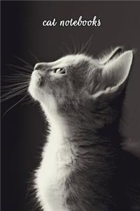 Cat Notebooks
