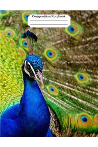 Composition Notebook Peacock Design Vol 13