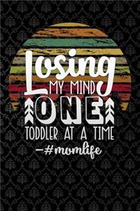losing my mind one toddler at a time momlife